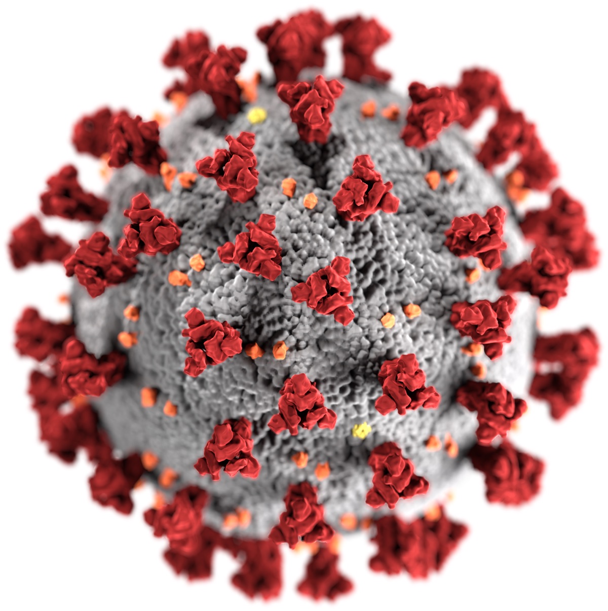 Illustration of the COVID-19 virus