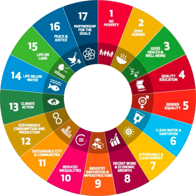 The 17 Sustainable Development Goals arranged in a circle