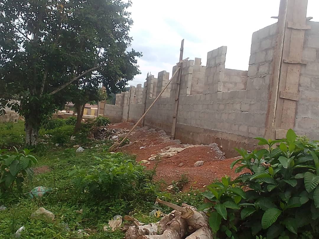 Project site photo